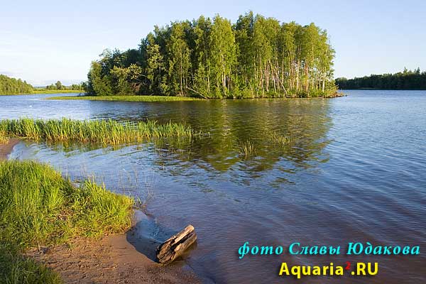 на Вытегорском водохранилище